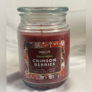 NEW Candle Lite Crimson Berries Holiday Lights Candle
